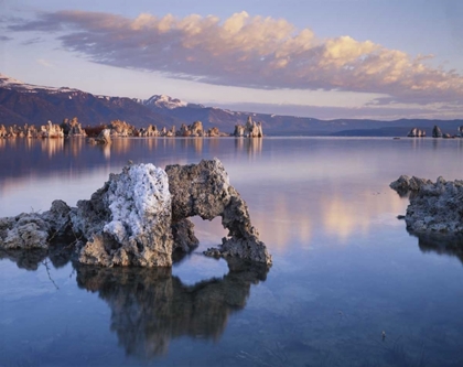 Picture of CA, SIERRA NEVADA TUFA FORMATIONS ON MONO LAKE