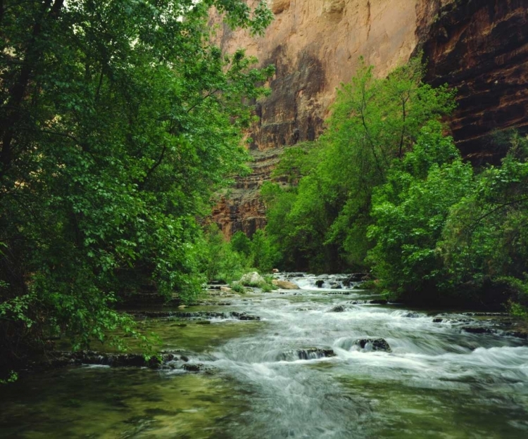 Picture of AZ, HAVASUPAI HAVASU CREEK IN THE GRAND CANYON