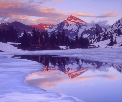 Picture of CA, SIERRA NEVADA MT DANA AT SUNSET REFLECTION