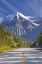 Picture of CANADA, BC, MT ROBSON PP ROAD THROUGH PARK