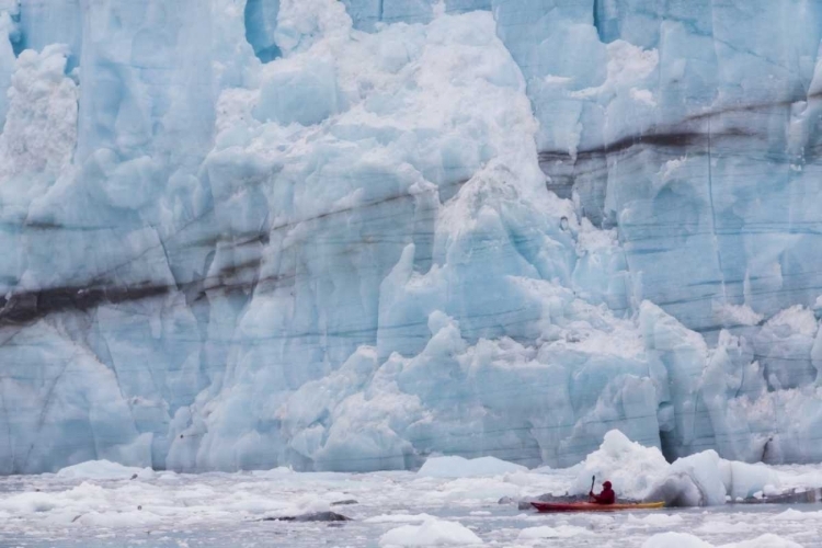 Picture of AK, GLACIER BAY NP, MARGERIE GLACIER KAYAKER