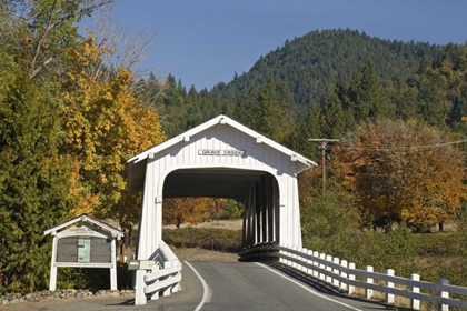 Picture of OR, COTTAGE GROVE GRAVE CREEK COVERED BRIDGE