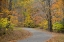 Picture of TN, FALLS CREEK FALLS SP ROAD THROUGH FOREST