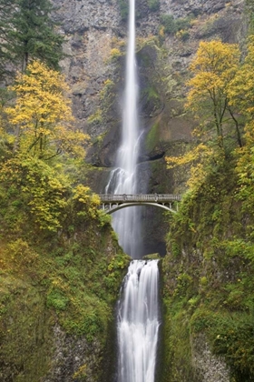 Picture of OR, COLUMBIA GORGE BRIDGE BY MULTNOMAH FALLS