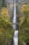 Picture of OR, COLUMBIA GORGE BRIDGE BY MULTNOMAH FALLS