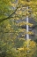 Picture of OR, COLUMBIA GORGE LATOURELL FALLS IN AUTUMN