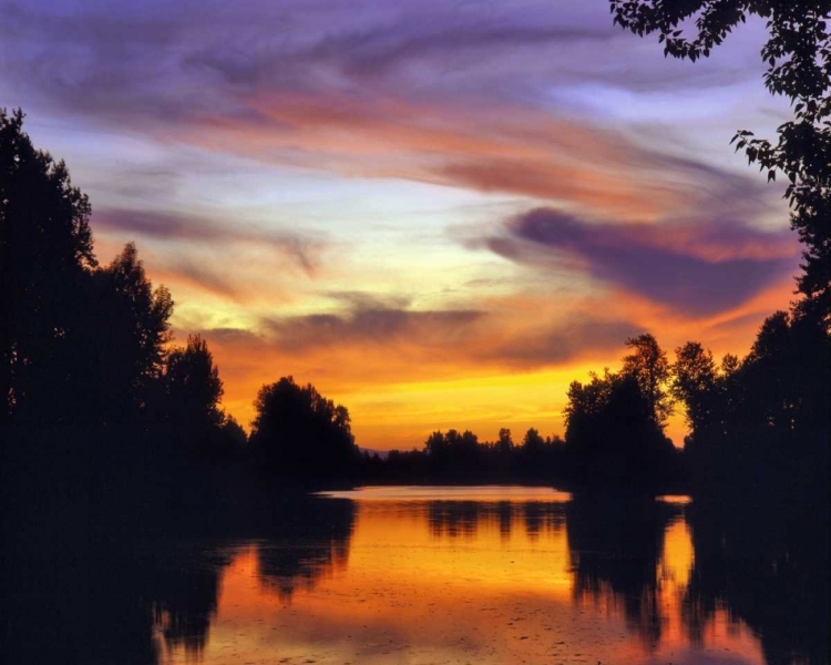 Picture of USA, OREGON SUNSET REFLECTING IN COLUMBIA SLOUGH