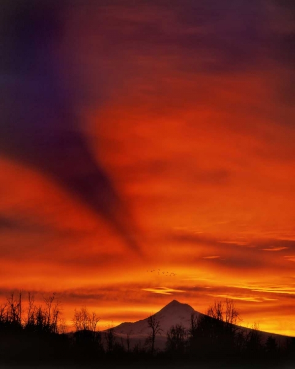 Picture of OREGON SUNRISE WITH MOUNTAIN SHADOW OVER MT HOOD