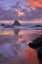 Picture of OREGON, OCEANSIDE SUNSET ON BEACH AND SEA STACKS