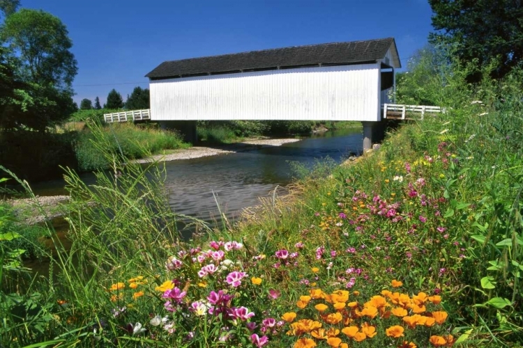 Picture of OR, GALLON HOUSE COVERED BRIDGE OVER ABIQUA CREEK