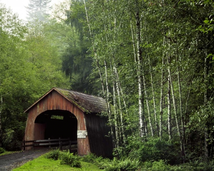 Picture of OR, YACHATS RIVER, COVERED BRIDGE OVER NORTH FORK