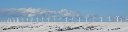 Picture of WY, FOOTE CREEK RIM ROW OF WIND TURBINES IN SNOW