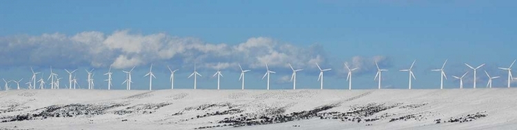 Picture of WY, FOOTE CREEK RIM ROW OF WIND TURBINES IN SNOW