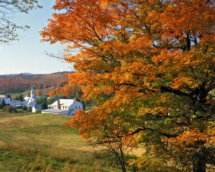 Picture of VERMONT, EAST CORINTH FALL COLORS FRAMING A TOWN
