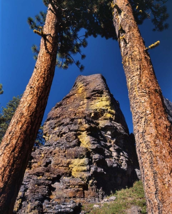 Picture of OR, GEARHART MOUNTAIN TREES FRAME ROCK FORMATION