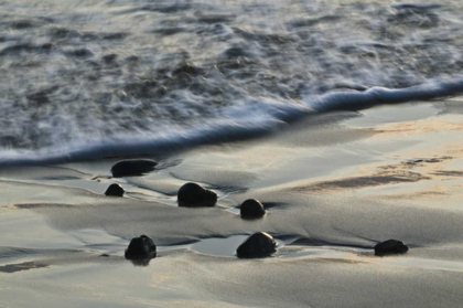 Picture of USA, OREGON BEACH SCENIC