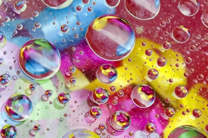 Picture of ABSTRACT OF BUBBLES OF COLOR