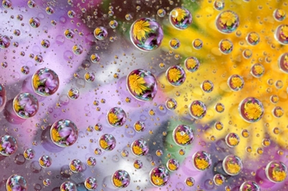 Picture of BUBBLES ABSTRACT WITH FLOWERS