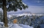 Picture of USA, UTAH, BRYCE CANYON IN WINTER