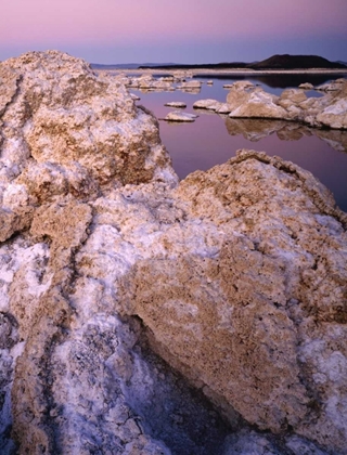 Picture of CA, MONO LAKE REFLECTIONS IN SOUTH TUFA AREA
