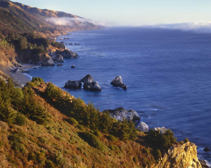 Picture of CA, JULIA PFEIFER BURNS SP SHORELINE SCENIC