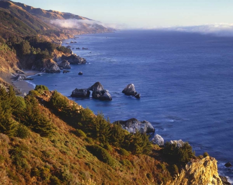 Picture of CA, JULIA PFEIFER BURNS SP SHORELINE SCENIC