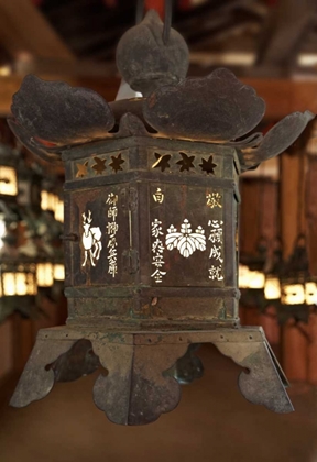 Picture of JAPAN, NARA LANTERN AT KASUGA TAISHA SHRINE