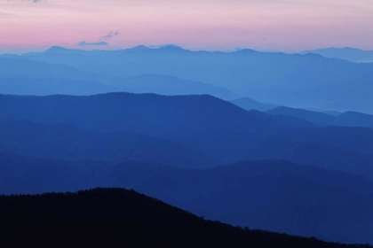 Picture of TN, GREAT SMOKY MTS, BLUE MOUNTAIN LANDSCAPE