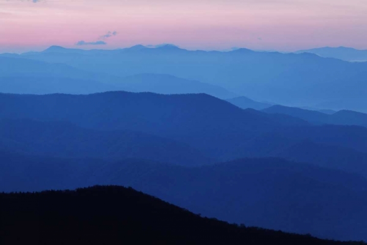 Picture of TN, GREAT SMOKY MTS, BLUE MOUNTAIN LANDSCAPE