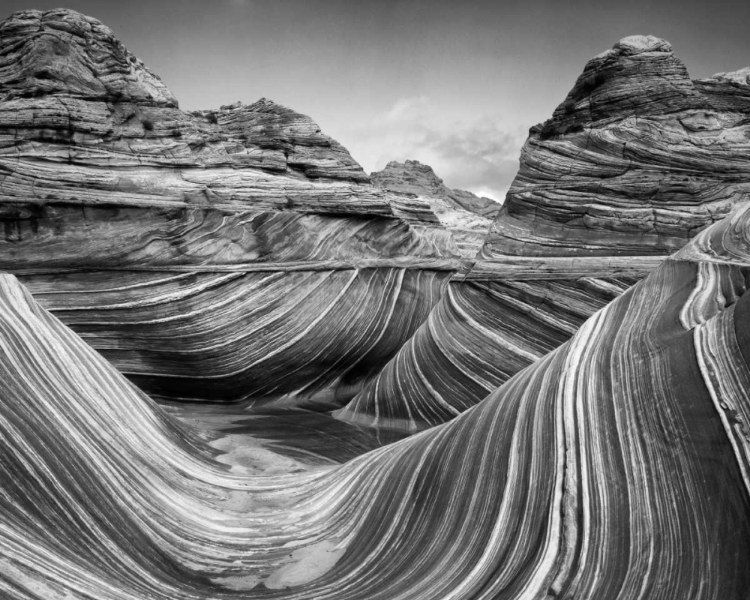 Picture of AZ, VERMILION CLIFFS, PARIA CANYON THE WAVE