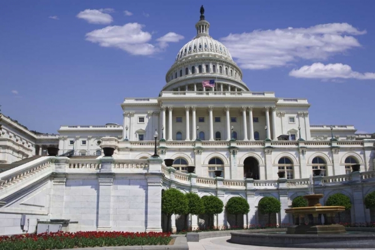 Picture of WASHINGTON, DC VIEW OF THE CAPITOL BUILDING