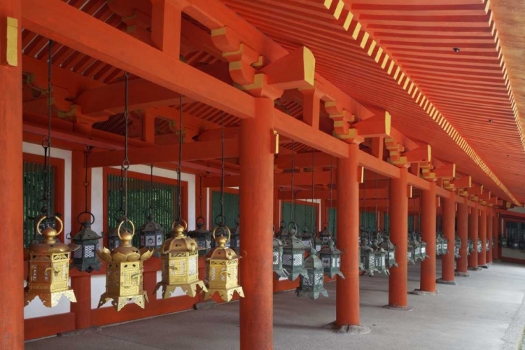 Picture of JAPAN, NARA LANTERNS AT KASUGA TAISHA SHRINE