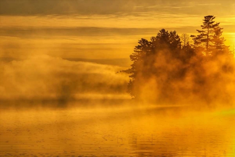 Picture of NEW YORK, ADIRONDACK MTS MIST ON RAQUETTE LAKE