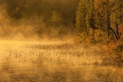 Picture of NEW YORK, ADIRONDACK MTS MIST ON RAQUETTE LAKE