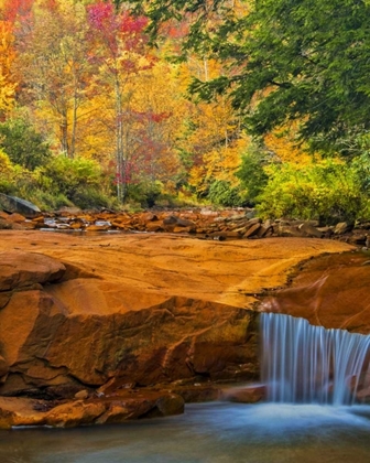 Picture of WV, DOUGLASS FALLS WATERFALL OVER ROCK OUTCROP