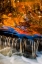 Picture of PA, DINGMANS FERRY AUTUMN WATERFALL OVER ROCKS