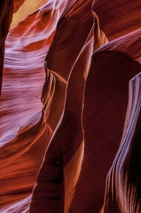 Picture of ARIZONA, PAIGE ROCK PATTERNS IN ANTELOPE CANYON