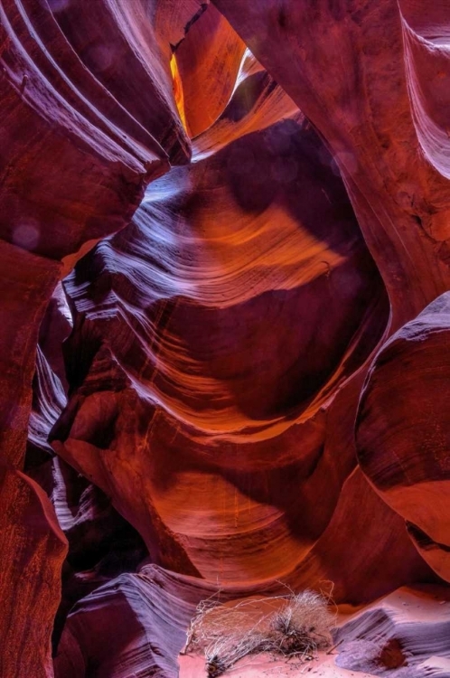 Picture of ARIZONA, PAIGE ROCK PATTERNS IN ANTELOPE CANYON