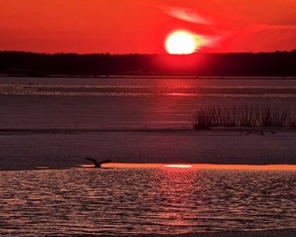 Picture of NEW JERSEY, CAPE MAY SUNSET REFLECTION ON WATER