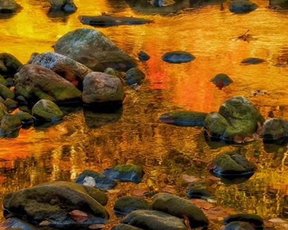 Picture of WEST VIRGINIA, DAVIS AUTUMN REFLECTIONS ON POND