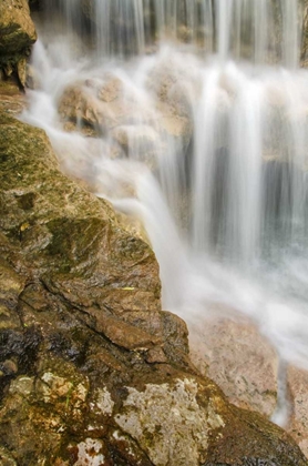 Picture of WEST VIRGINIA, THOMAS CLOSE-UP OF DOUGLAS FALLS