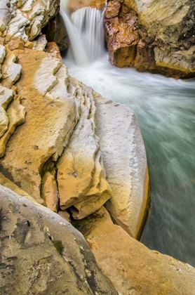 Picture of WEST VIRGINIA, THOMAS CLOSE-UP OF DOUGLAS FALLS