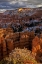 Picture of UTAH, BRYCE CANYON FALL SNOW ON ROCK FORMATIONS