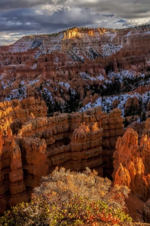 Picture of UTAH, BRYCE CANYON FALL SNOW ON ROCK FORMATIONS