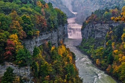Picture of NY, LETCHWORTH SP RIVER AND WATERFALL IN CANYON