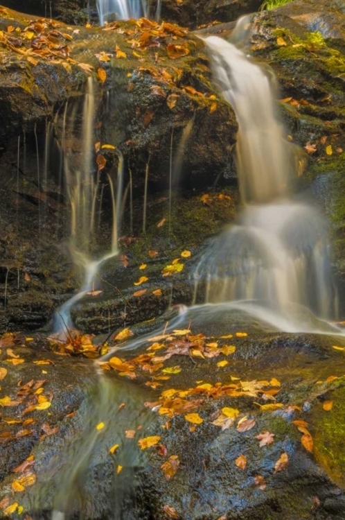 Picture of PA, DELAWARE WATER GAP NRA WATERFALL OVER ROCKS