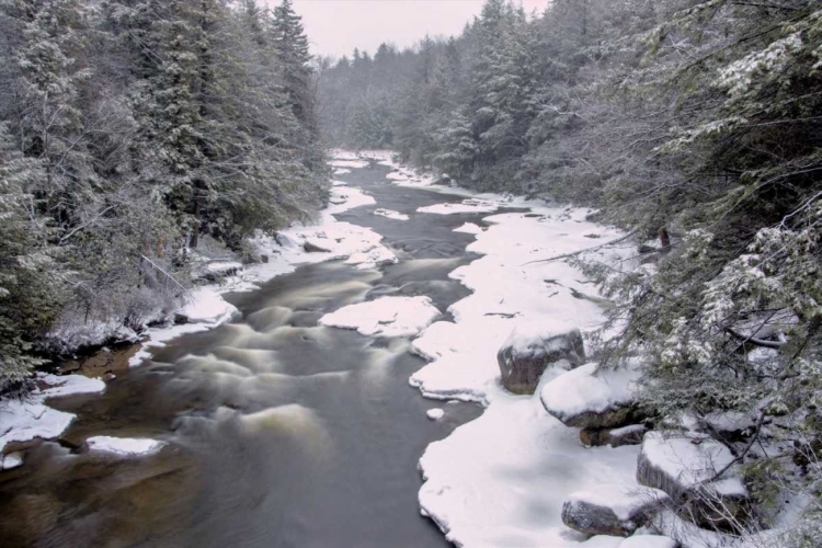 Picture of WV, BLACKWATER FALLS STREAM IN WINTER LANDSCAPE