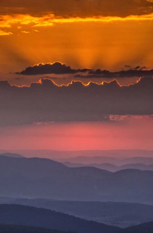 Picture of WV, DAVIS SUNRISE ON DOLLY SODS WILDERNESS AREA