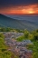 Picture of VA, FRANKLIN CLIFF OVERLOOK SUNSET ON MOUNTAINS