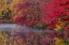 Picture of PA, HIDDEN LAKE TREES IN AUTUMN REFLECT IN LAKE